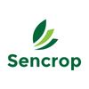 The Sencrop team